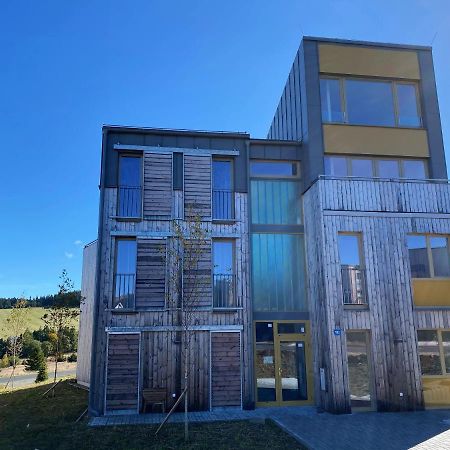 Miky Apartman Klinovec View Loučná pod Klínovcem Bagian luar foto