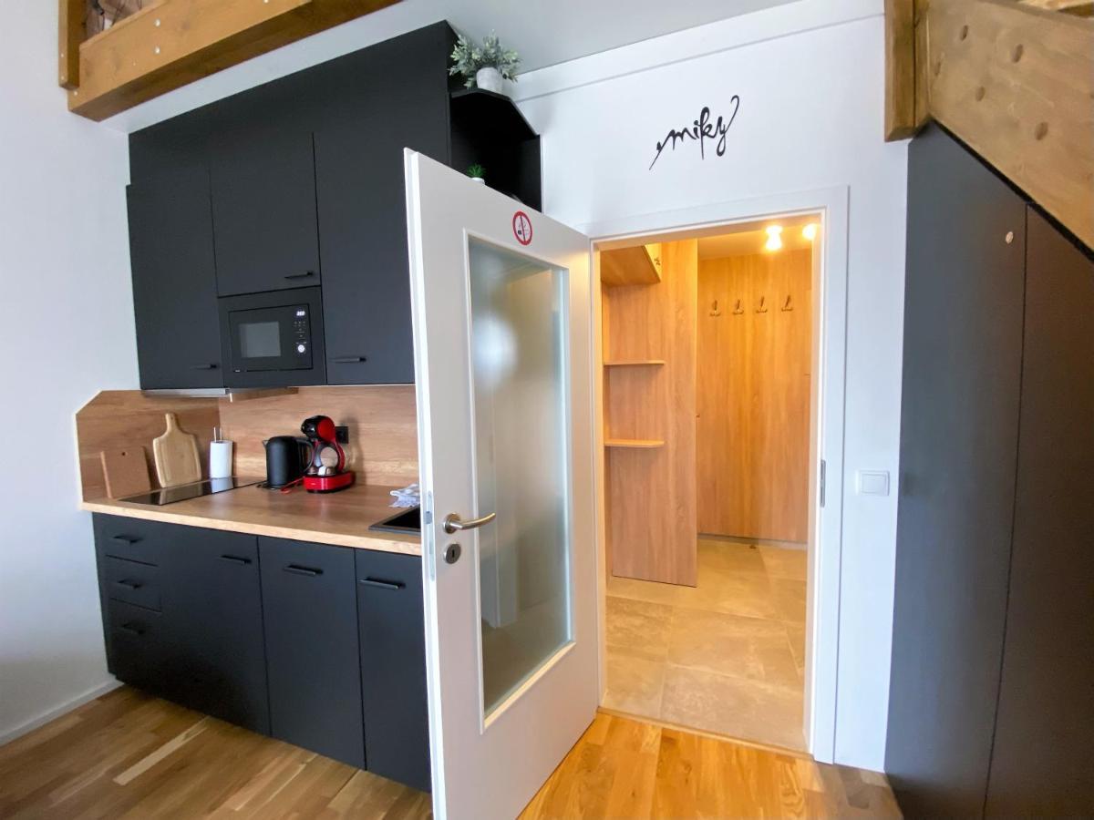 Miky Apartman Klinovec View Loučná pod Klínovcem Bagian luar foto