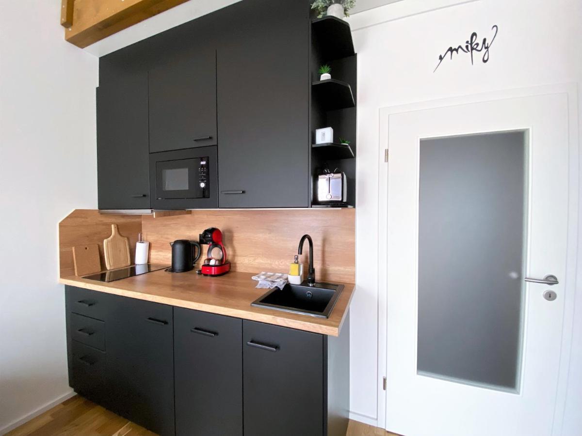Miky Apartman Klinovec View Loučná pod Klínovcem Bagian luar foto