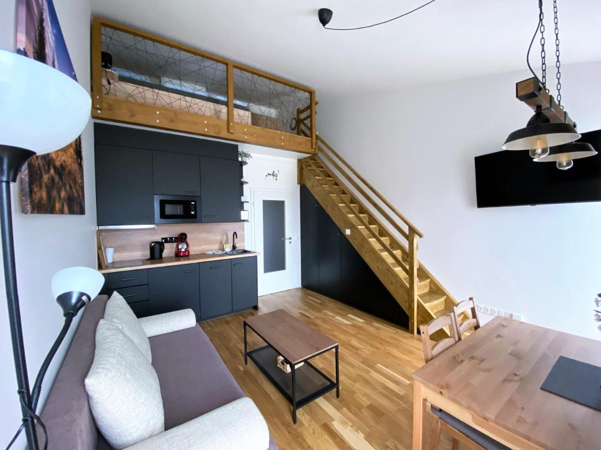 Miky Apartman Klinovec View Loučná pod Klínovcem Bagian luar foto
